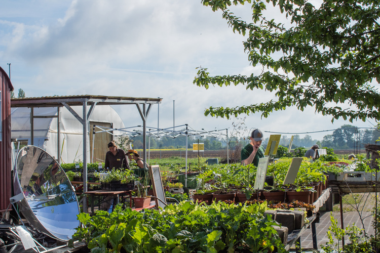 KI generiert: Ein Garten mit Pflanzen in Töpfen, mehrere Personen arbeiten dort.