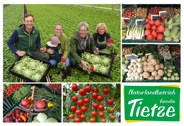 KI generiert: Familie erntet Gemüse; daneben frische Tomaten, Gemüseauslage und Logo "Naturlandbetrieb Familie Tietze".