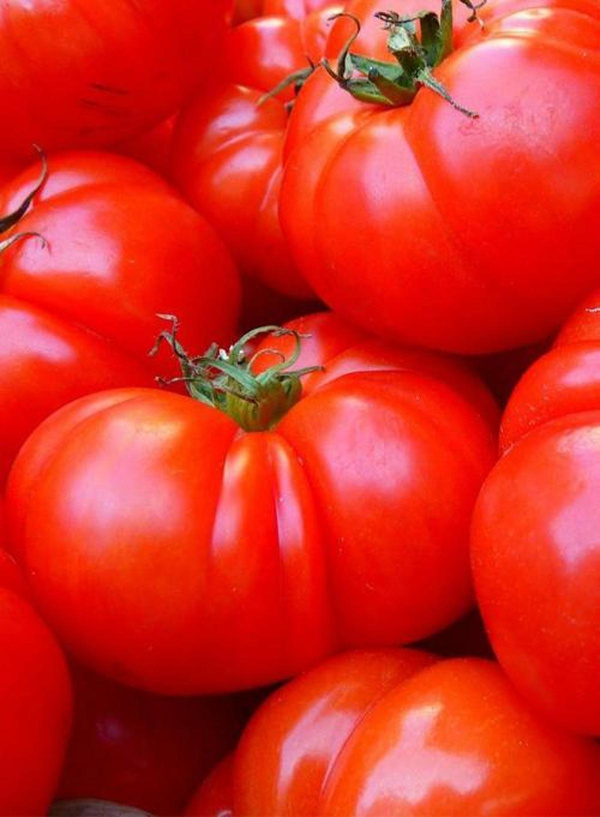 Produktfoto zu Fleischtomate Rosa Tobrossa