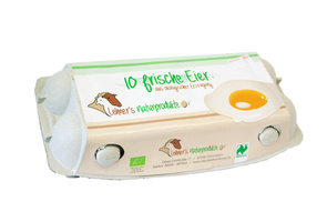 KI generiert: Ein Eierkarton mit der Aufschrift "10 frische Eier aus ökologischer Erzeugung".