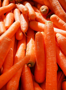 KI generiert: Das Bild zeigt eine Nahaufnahme von vielen frischen Karotten, die eng beieinander liegen. Der Hauptinhalt des Bildes sind die leuchtend orangefarbenen Karotten.