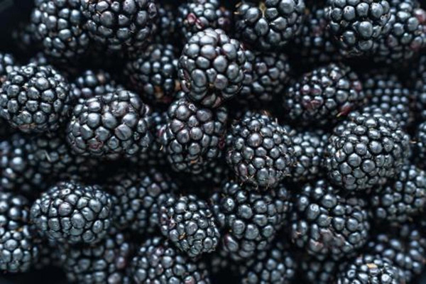 Produktfoto zu Brombeeren