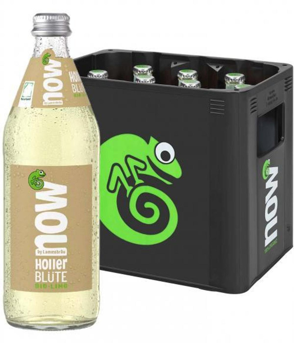 Produktfoto zu Holler Blüte 0,5 l (Kasten)