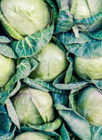 Produktfoto zu Weißkraut (neue Ernte)