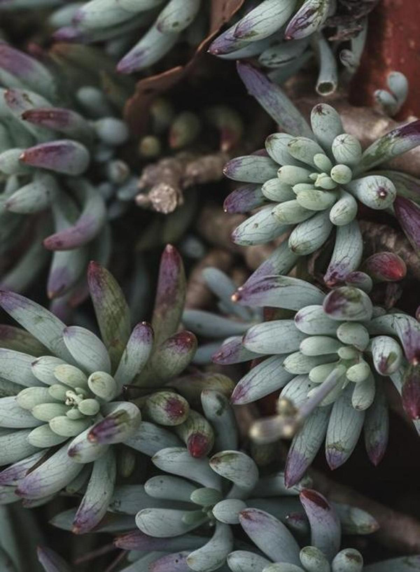 Produktfoto zu Tripmadam