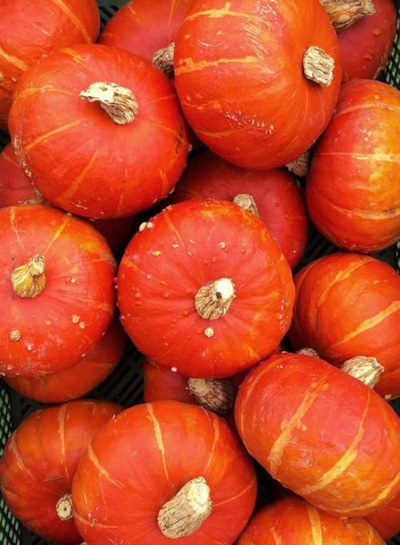 Produktfoto zu Hokkaido klein