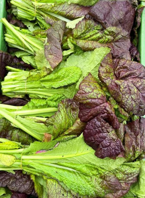 Produktfoto zu Asia-Salat (Bund)