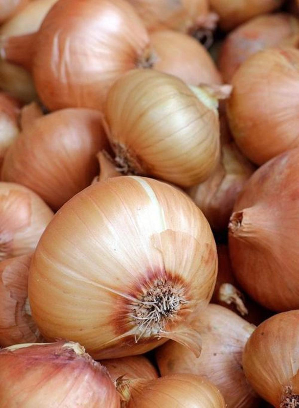 Produktfoto zu Singlezwiebeln gelb