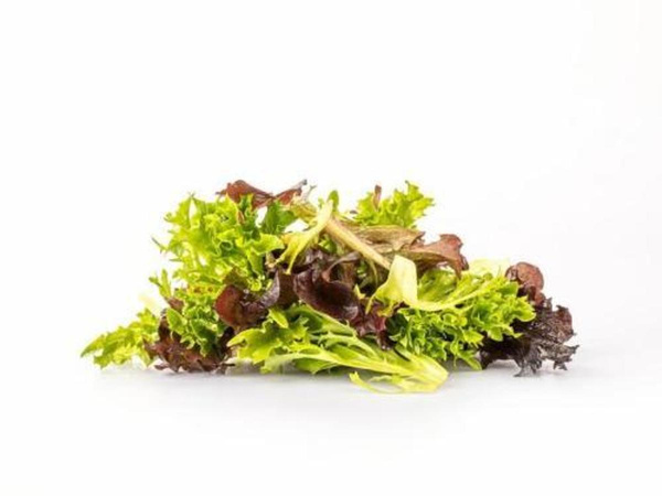 Produktfoto zu Pflücksalat