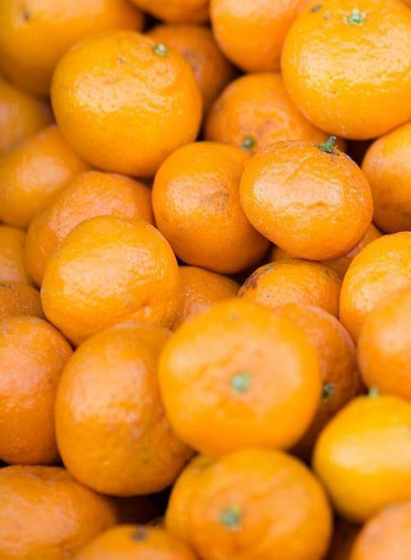Produktfoto zu Satsumas grünlich