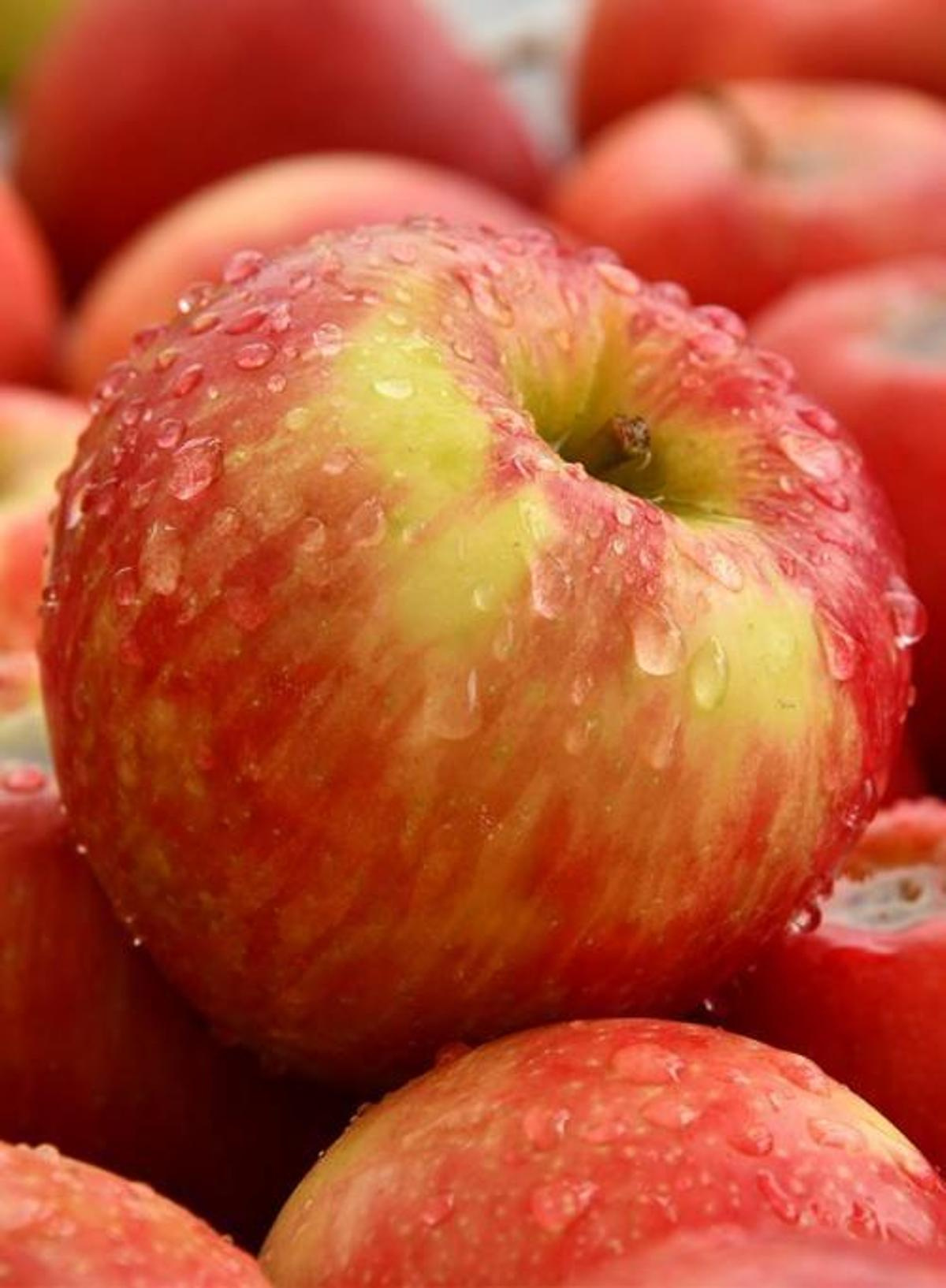 Äpfel