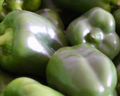 Produktfoto zu Paprika grün 100g Freiland