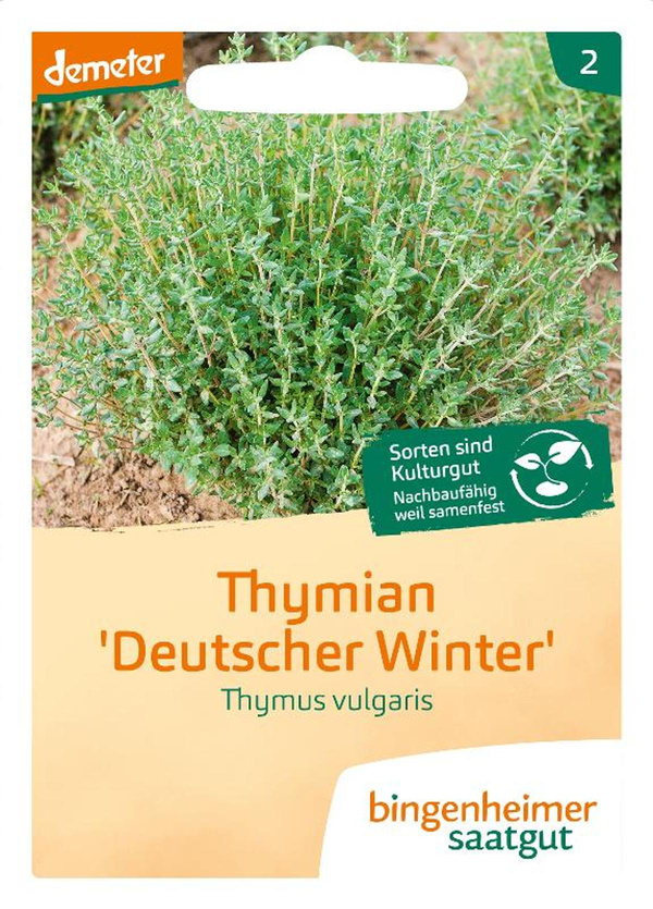 Produktfoto zu Thymian