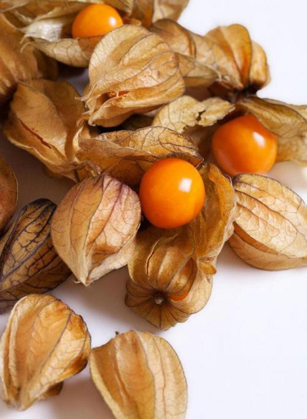 Produktfoto zu Physalis