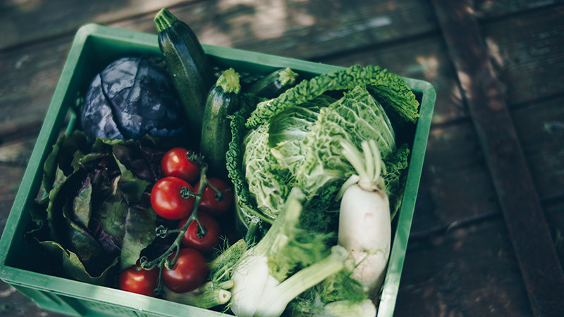 Rezeptbild für Gemischter Sprossen-Salat