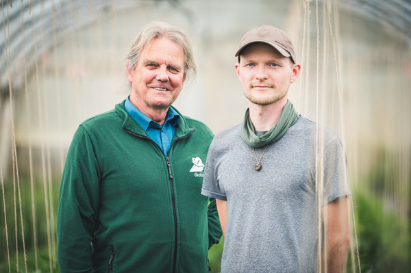 KI generiert: Zwei Männer stehen in einem Gewächshaus. Auf der Jacke steht "Ökokiste".