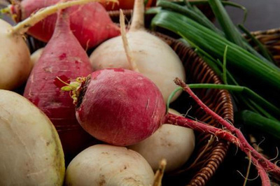 Produktfoto zu Bunte Bete mit Grün