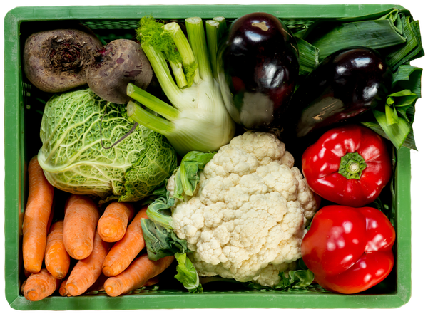 Grüne Kiste mit Blumenkohl, Fenchel, Aubergine, Rote Beete, Weißkraut, Karotten, Lauch und roter Paprika