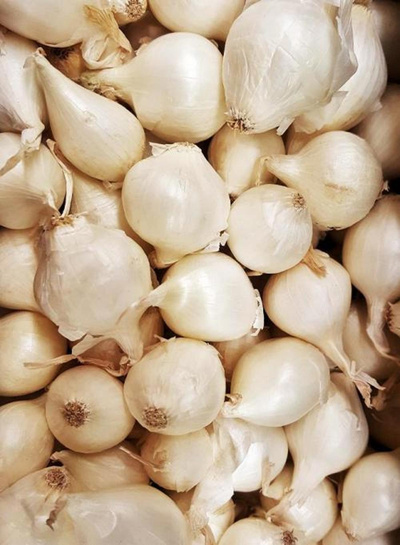 Produktfoto zu Zwiebel gelb lose 40-60mm