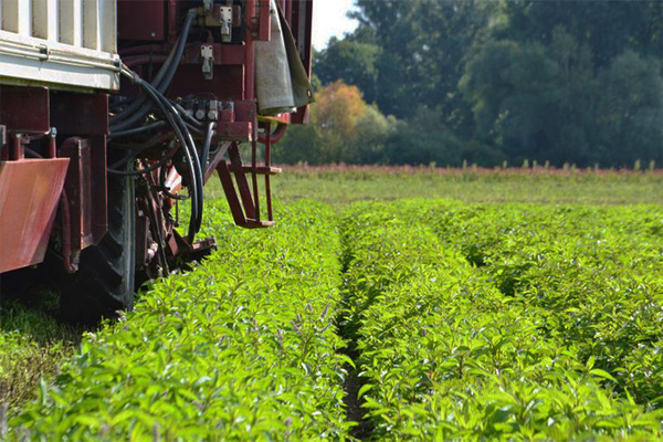 KI generiert: Ein landwirtschaftliches Fahrzeug auf einem grünen Feld.