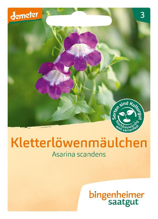 Produktfoto zu Kletterlöwenmäulchen