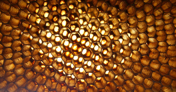 KI generiert: Nahaufnahme einer beleuchteten, goldenen Bienenwabe mit hexagonalen Zellen.