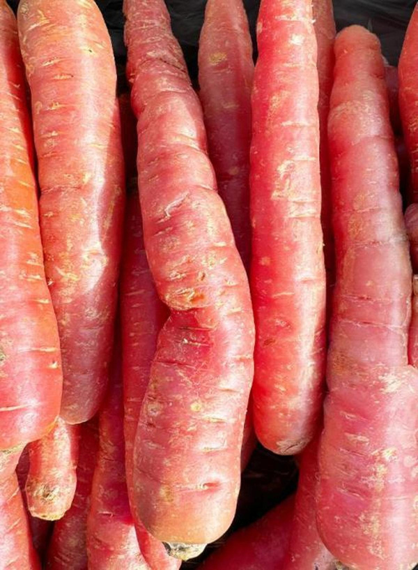 Produktfoto zu Karotten rot