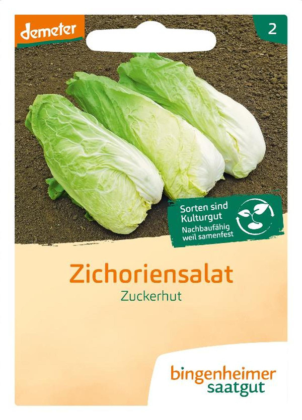 Produktfoto zu Salat Zuckerhut