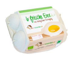 KI generiert: Eine Packung mit 6 frischen Eiern aus ökologischer Erzeugung. Text: "6 frische Eier aus ökologischer Erzeugung."