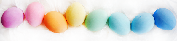 KI generiert: Bunt gefärbte Eier in verschiedenen Farben auf einem weißen Hintergrund.