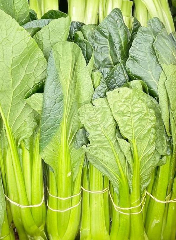 Produktfoto zu Komatsuna (Senfspinat)