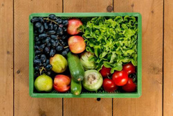 Produktfoto zu Mixkiste