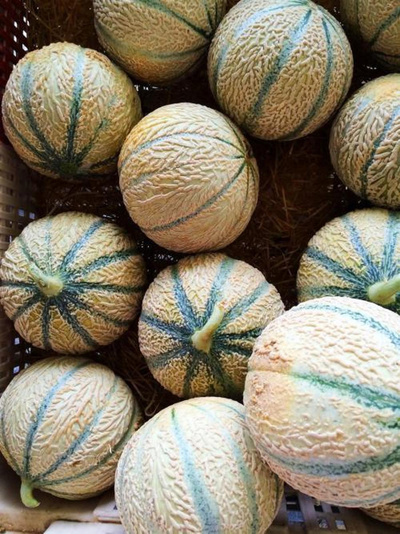 Produktfoto zu Zuckermelone Cantaloupe