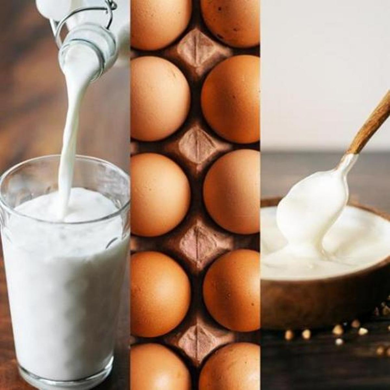 Milchprodukte & Eier