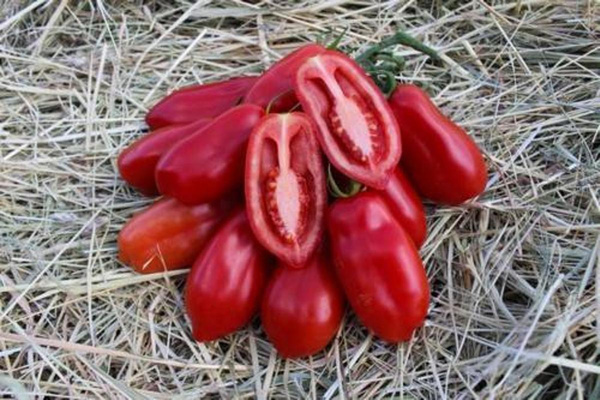 Produktfoto zu Tomate San Marzano