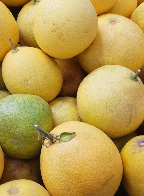 Produktfoto zu Pomelo weißfleischig