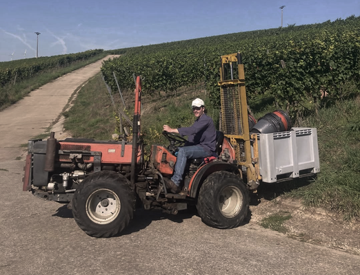 KI generiert: Person auf kleinem Traktor in einem Weinberg.