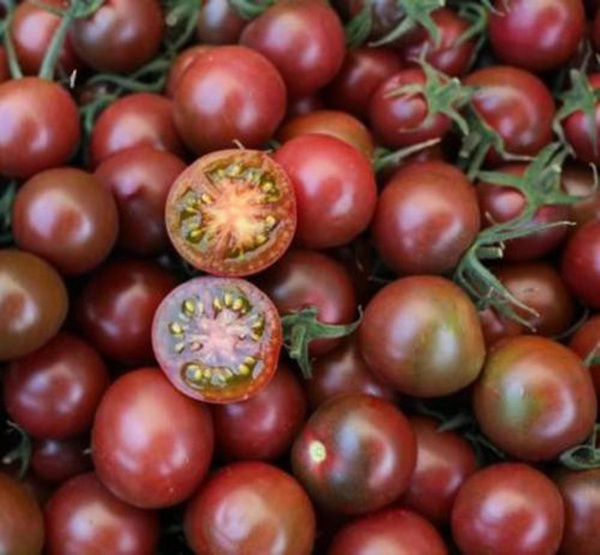 Produktfoto zu Tomate Black Cherry