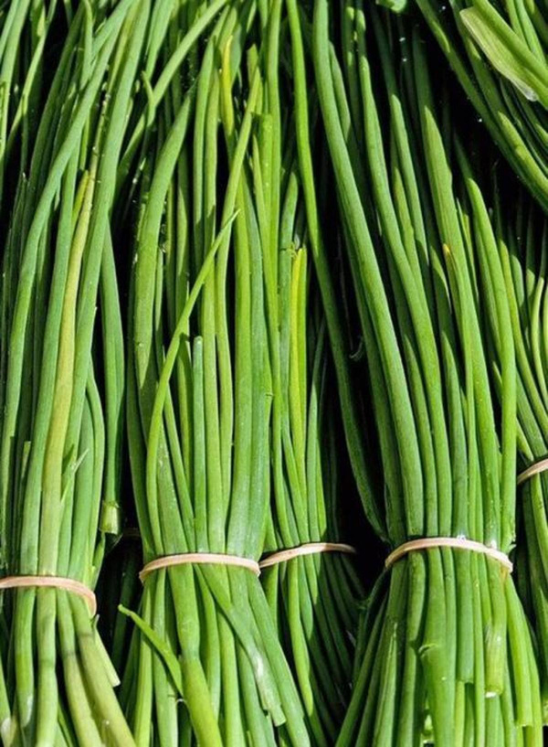 Produktfoto zu Schnittlauch