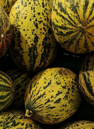 Produktfoto zu Zuckermelone Piel de Sapo