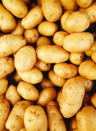 Produktfoto zu Kartoffeln mehlig kochend, 2,5 kg