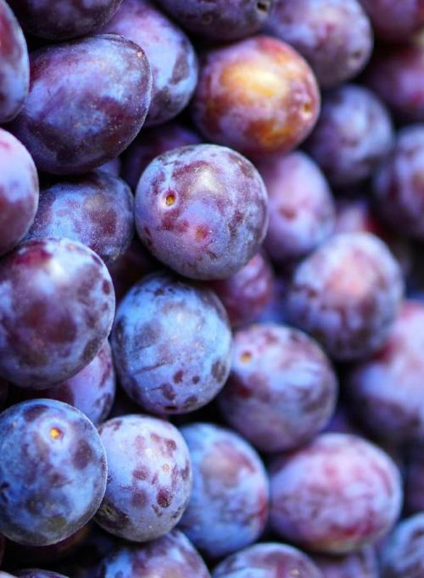 Produktfoto zu Zwetschgen (Schale)