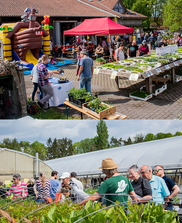 KI generiert: Das Bild zeigt drei Personen, die neben einem Holzzaun stehen und in die Kamera lächeln. Im Vordergrund steht der Schriftzug "DANKE!" auf einem grünen Hintergrund mit Grafiken von Gemüse.