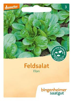 Feldsalat K 252 Cheng 246 Tter