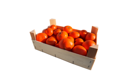 Produktfoto zu Mandarinen-Kistchen