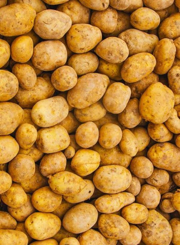 Produktfoto zu Kartoffeln festkochend