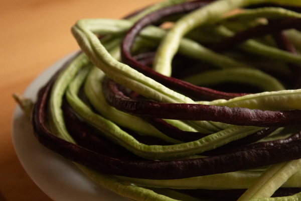 KI generiert: Nahaufnahme von langen, grünen und violetten Bohnen auf einem Teller.