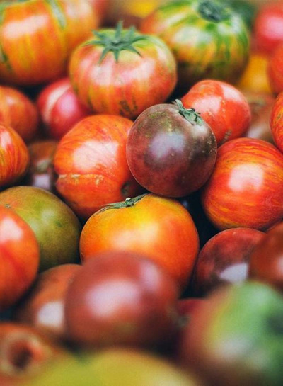 Produktfoto zu Raritas-Tomaten