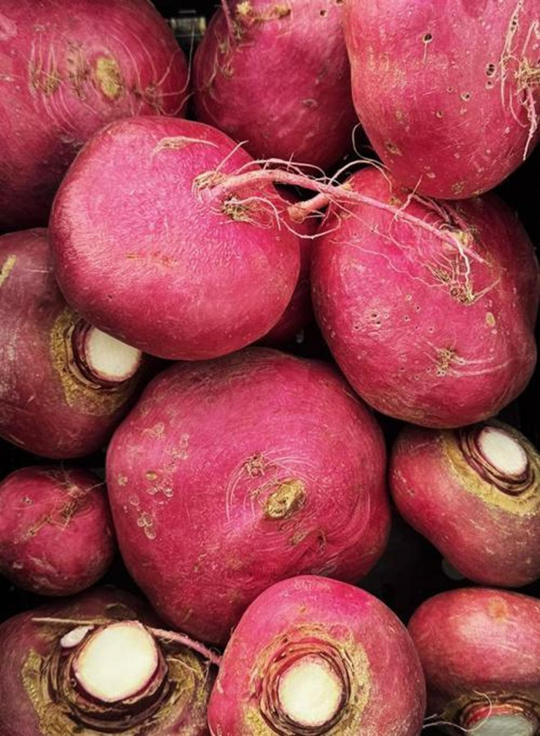 Produktfoto zu Speiserübchen rot