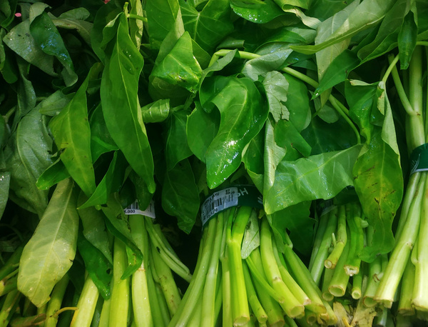 KI generiert: Frische Bündel grüner Blätter und Stängel, möglicherweise Blattgemüse oder Kräuter. Es sind Barcode-Etiketten zu sehen.